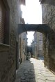 IMG_0038 (1)
